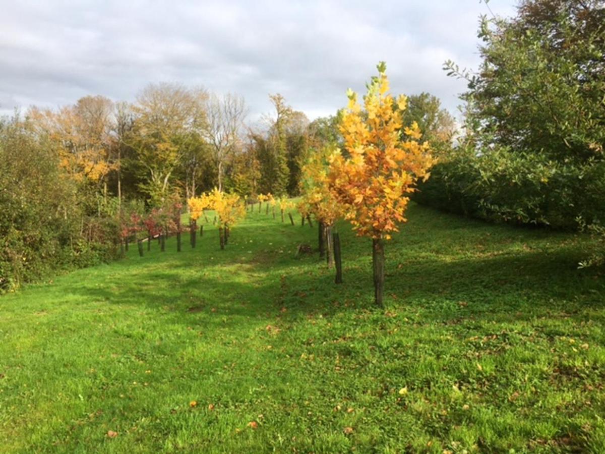 Appartement Charmant Orgnac-Sur-Vezere Avec Jardin Et Parking Dış mekan fotoğraf